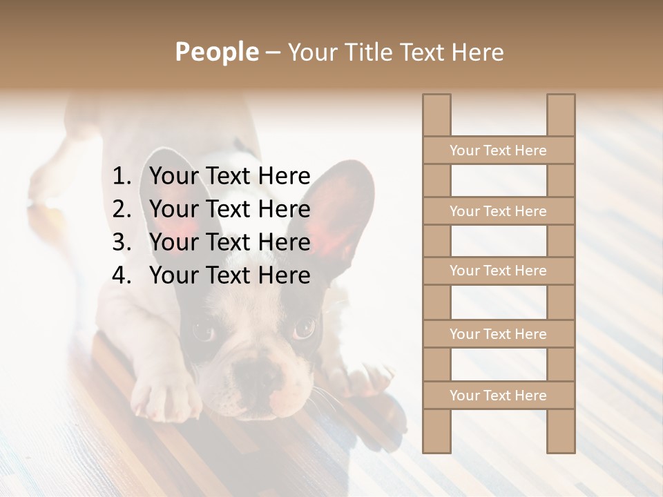 A Small Dog Laying On A Wooden Floor PowerPoint Template