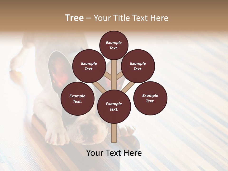 A Small Dog Laying On A Wooden Floor PowerPoint Template