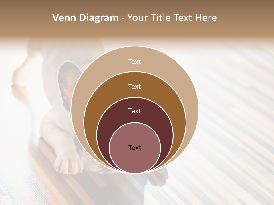 A Small Dog Laying On A Wooden Floor PowerPoint Template