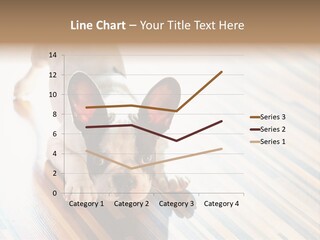 A Small Dog Laying On A Wooden Floor PowerPoint Template