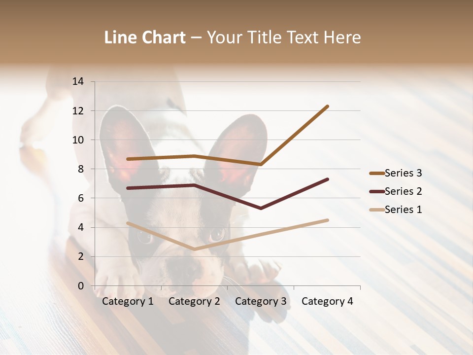 A Small Dog Laying On A Wooden Floor PowerPoint Template