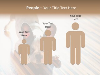 A Small Dog Laying On A Wooden Floor PowerPoint Template
