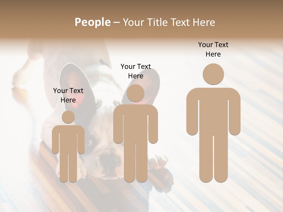 A Small Dog Laying On A Wooden Floor PowerPoint Template
