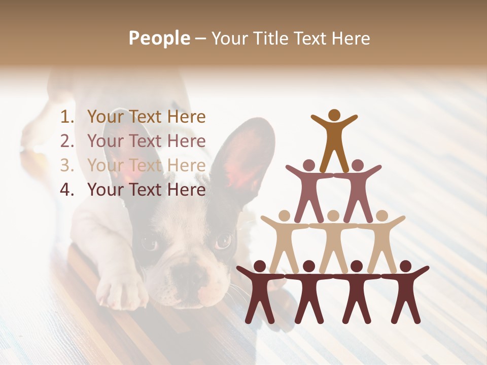 A Small Dog Laying On A Wooden Floor PowerPoint Template