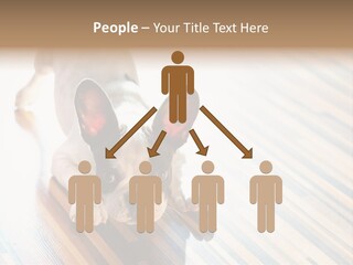 A Small Dog Laying On A Wooden Floor PowerPoint Template