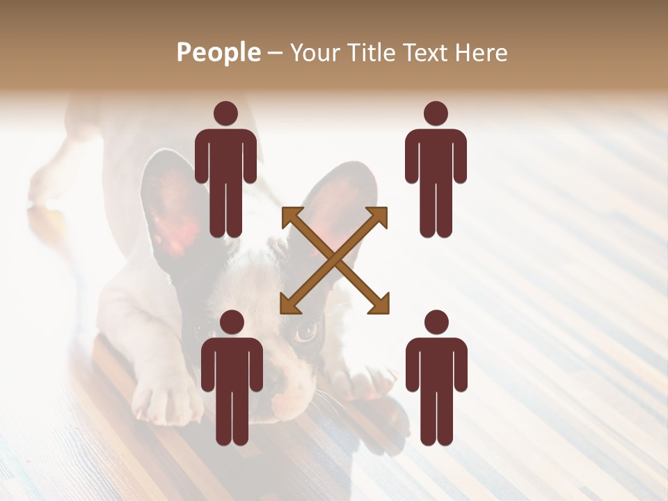 A Small Dog Laying On A Wooden Floor PowerPoint Template