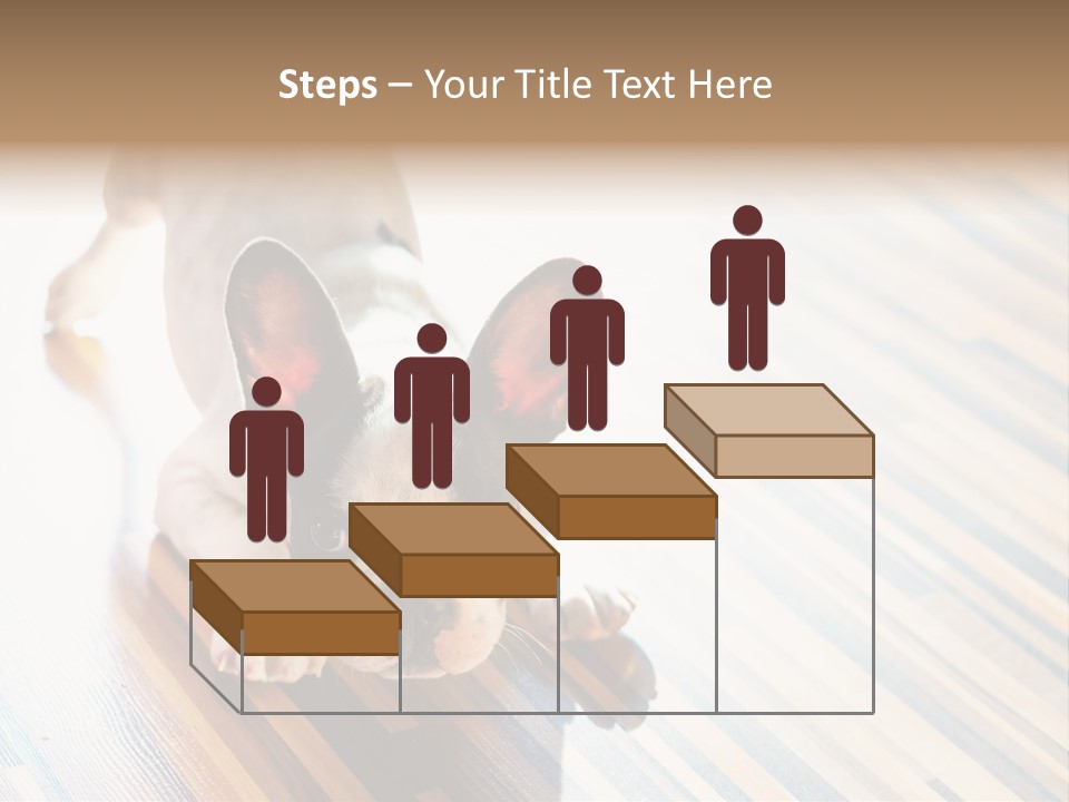 A Small Dog Laying On A Wooden Floor PowerPoint Template