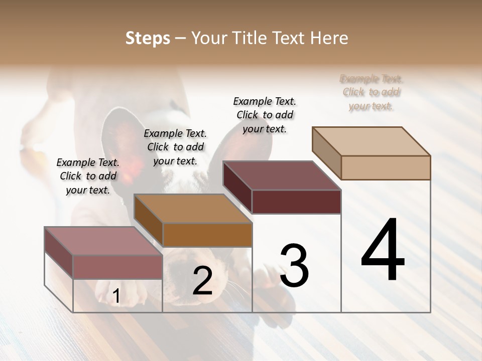 A Small Dog Laying On A Wooden Floor PowerPoint Template