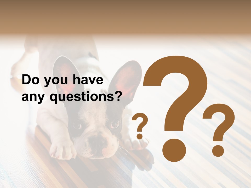 A Small Dog Laying On A Wooden Floor PowerPoint Template