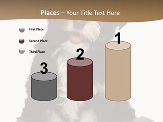 A Small Brown And White Dog Sitting On A White Background PowerPoint Template