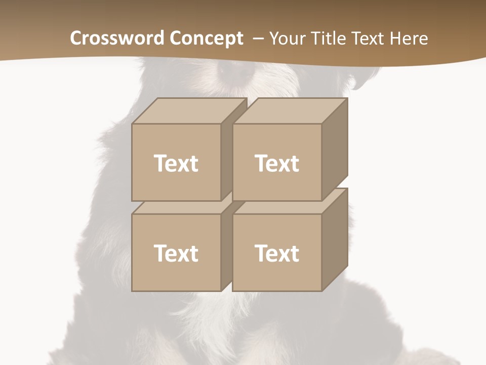 A Small Brown And White Dog Sitting On A White Background PowerPoint Template