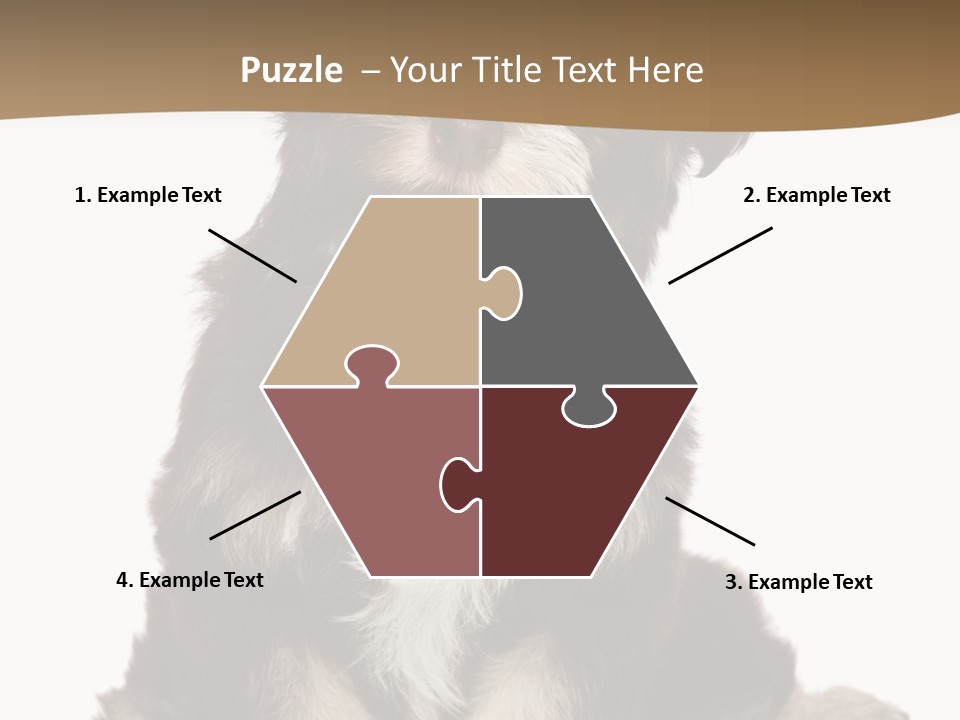 A Small Brown And White Dog Sitting On A White Background PowerPoint Template