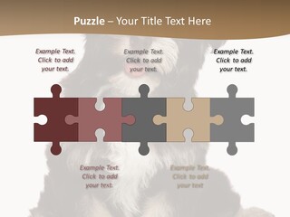 A Small Brown And White Dog Sitting On A White Background PowerPoint Template