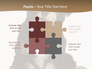 A Small Brown And White Dog Sitting On A White Background PowerPoint Template