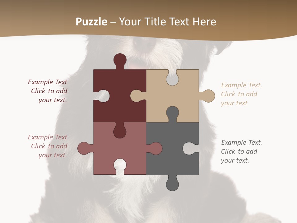 A Small Brown And White Dog Sitting On A White Background PowerPoint Template