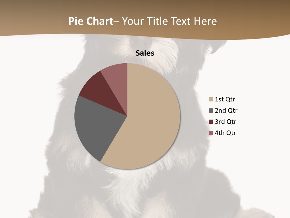 A Small Brown And White Dog Sitting On A White Background PowerPoint Template