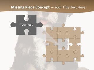 A Small Brown And White Dog Sitting On A White Background PowerPoint Template