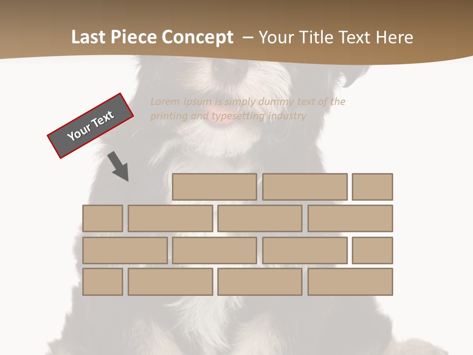 A Small Brown And White Dog Sitting On A White Background PowerPoint Template