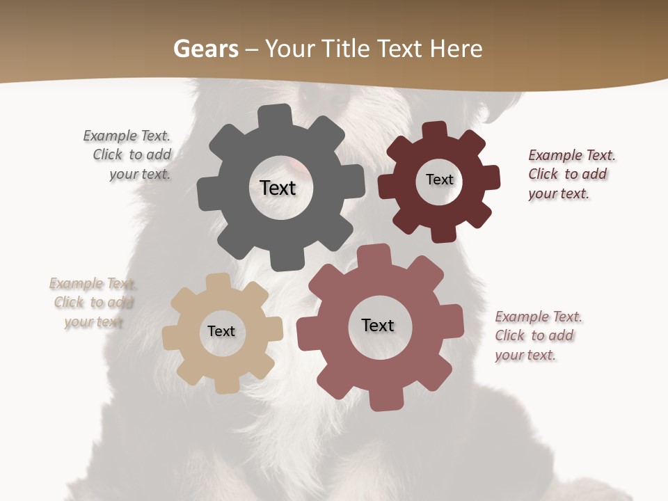 A Small Brown And White Dog Sitting On A White Background PowerPoint Template