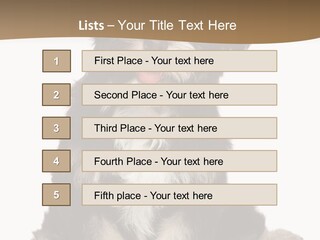 A Small Brown And White Dog Sitting On A White Background PowerPoint Template