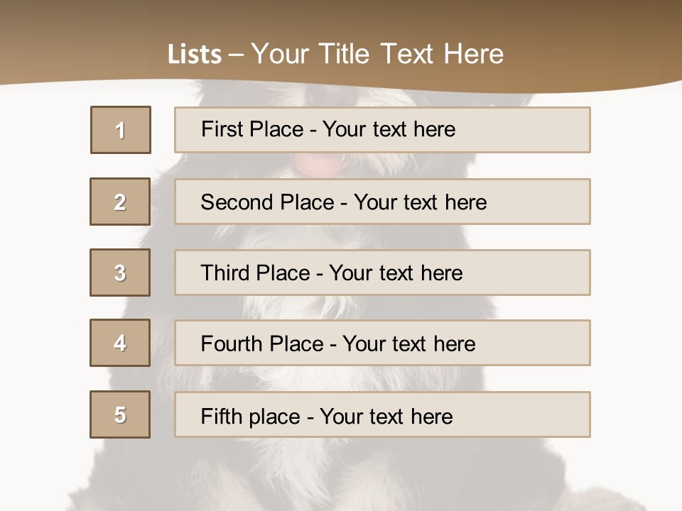 A Small Brown And White Dog Sitting On A White Background PowerPoint Template