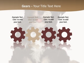 A Small Brown And White Dog Sitting On A White Background PowerPoint Template
