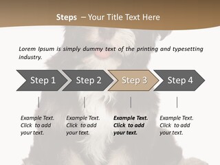 A Small Brown And White Dog Sitting On A White Background PowerPoint Template