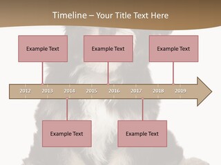 A Small Brown And White Dog Sitting On A White Background PowerPoint Template