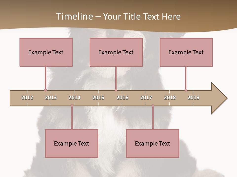 A Small Brown And White Dog Sitting On A White Background PowerPoint Template