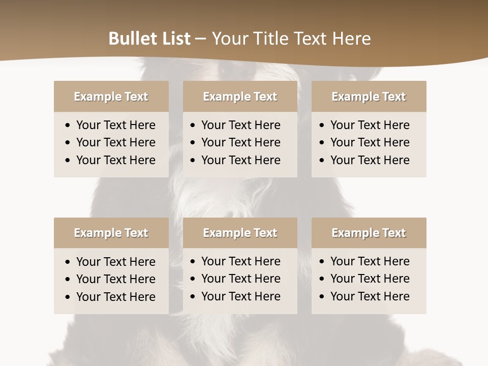 A Small Brown And White Dog Sitting On A White Background PowerPoint Template