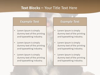 A Small Brown And White Dog Sitting On A White Background PowerPoint Template