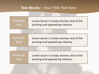 A Small Brown And White Dog Sitting On A White Background PowerPoint Template