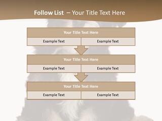 A Small Brown And White Dog Sitting On A White Background PowerPoint Template