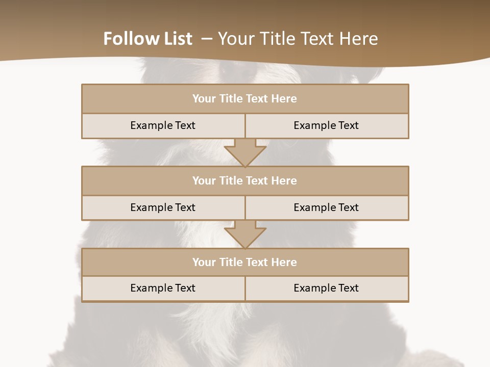 A Small Brown And White Dog Sitting On A White Background PowerPoint Template