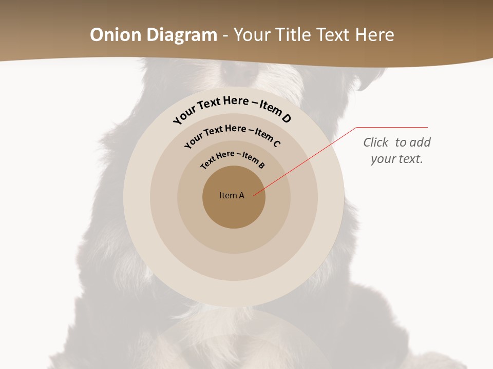 A Small Brown And White Dog Sitting On A White Background PowerPoint Template