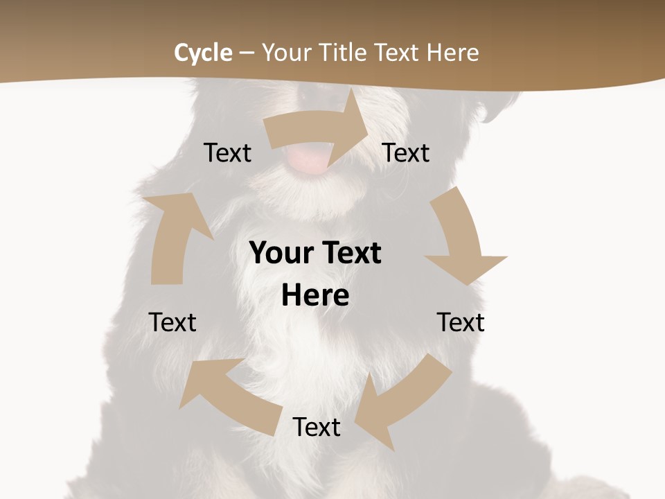 A Small Brown And White Dog Sitting On A White Background PowerPoint Template