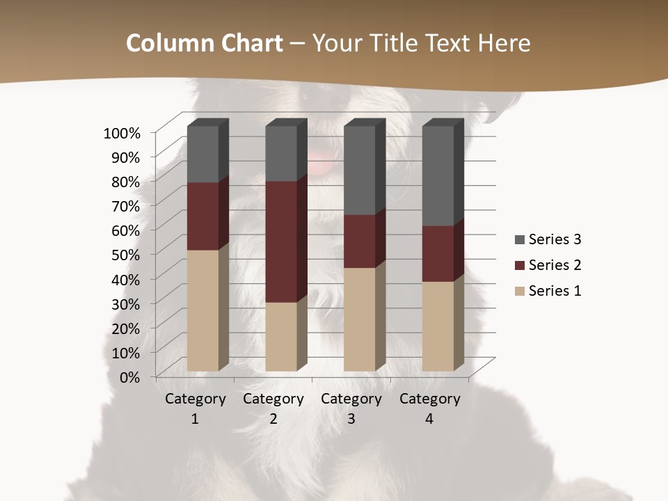 A Small Brown And White Dog Sitting On A White Background PowerPoint Template