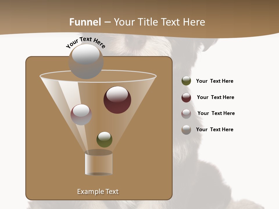 A Small Brown And White Dog Sitting On A White Background PowerPoint Template