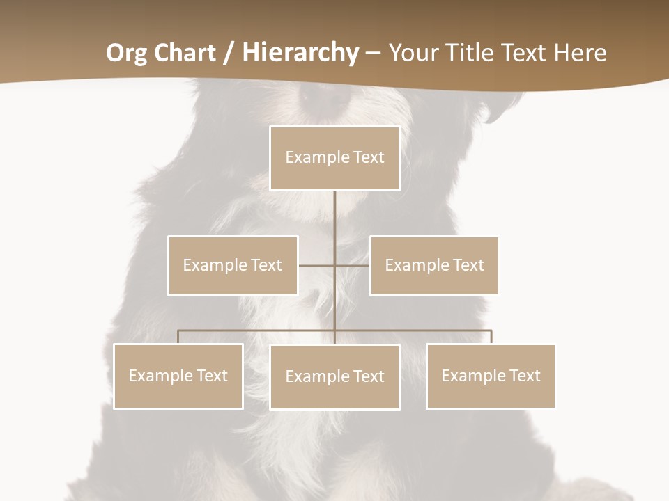 A Small Brown And White Dog Sitting On A White Background PowerPoint Template