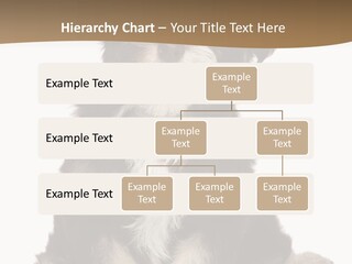 A Small Brown And White Dog Sitting On A White Background PowerPoint Template