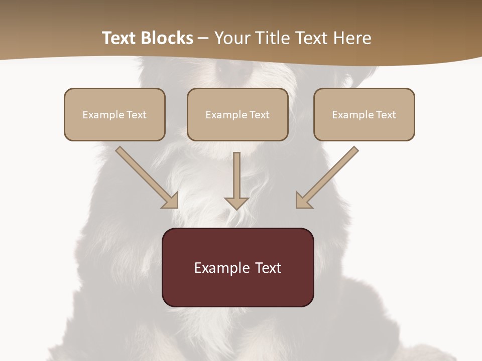 A Small Brown And White Dog Sitting On A White Background PowerPoint Template
