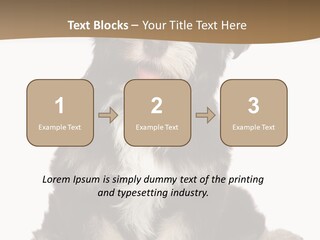 A Small Brown And White Dog Sitting On A White Background PowerPoint Template