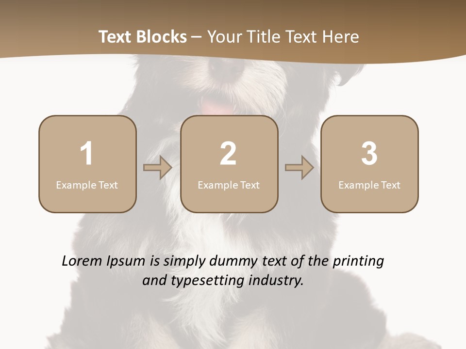 A Small Brown And White Dog Sitting On A White Background PowerPoint Template