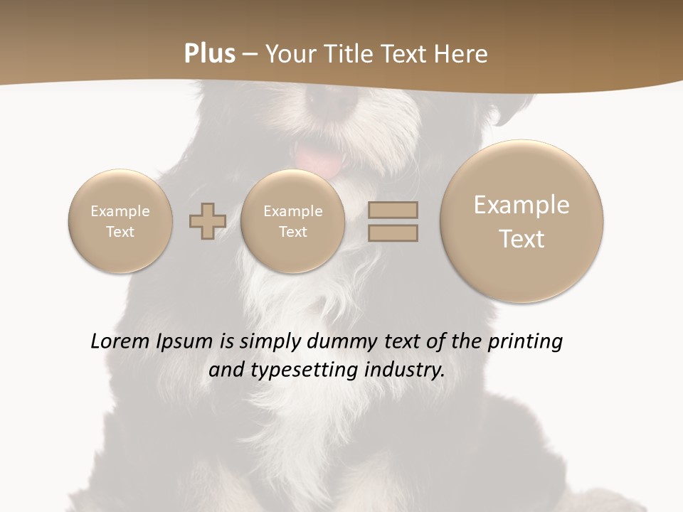 A Small Brown And White Dog Sitting On A White Background PowerPoint Template