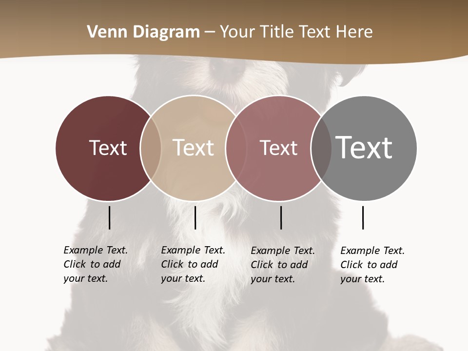 A Small Brown And White Dog Sitting On A White Background PowerPoint Template