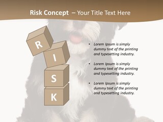 A Small Brown And White Dog Sitting On A White Background PowerPoint Template