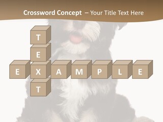 A Small Brown And White Dog Sitting On A White Background PowerPoint Template