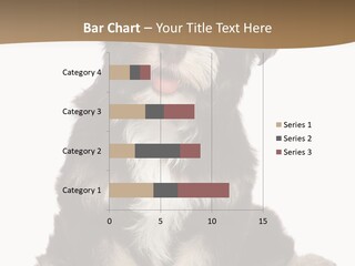 A Small Brown And White Dog Sitting On A White Background PowerPoint Template