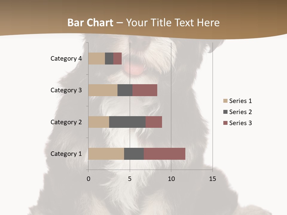 A Small Brown And White Dog Sitting On A White Background PowerPoint Template