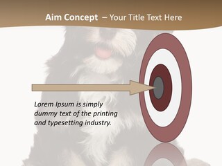 A Small Brown And White Dog Sitting On A White Background PowerPoint Template